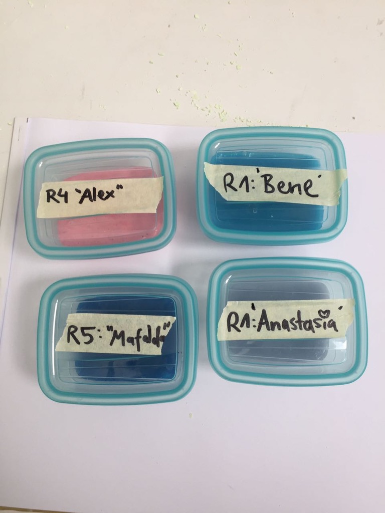 UNADJUSTEDNONRAW_thumb_434f